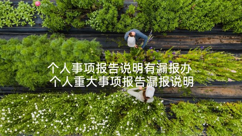 个人事项报告说明有漏报办 个人重大事项报告漏报说明(大全6篇)