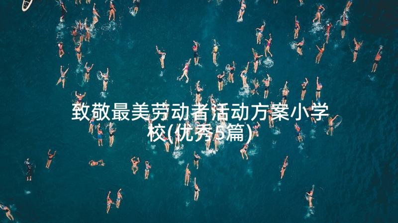 致敬最美劳动者活动方案小学校(优秀5篇)