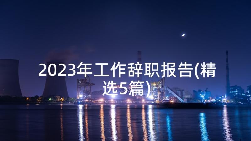 2023年工作辞职报告(精选5篇)