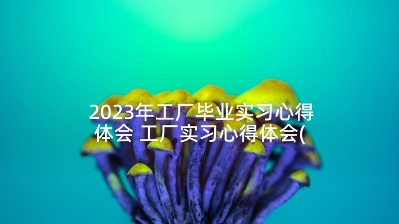 2023年工厂毕业实习心得体会 工厂实习心得体会(实用7篇)