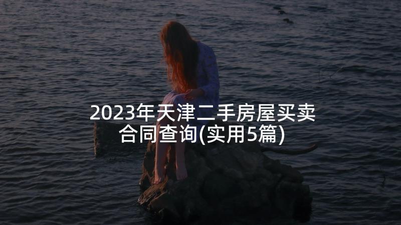 2023年天津二手房屋买卖合同查询(实用5篇)