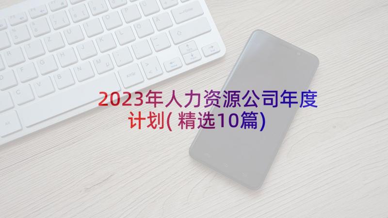 2023年人力资源公司年度计划(精选10篇)
