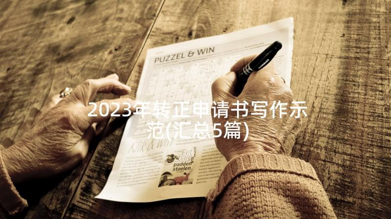 2023年转正申请书写作示范(汇总5篇)