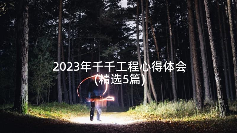 2023年千千工程心得体会(精选5篇)