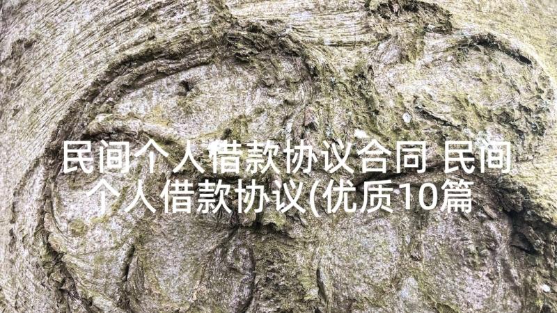 民间个人借款协议合同 民间个人借款协议(优质10篇)