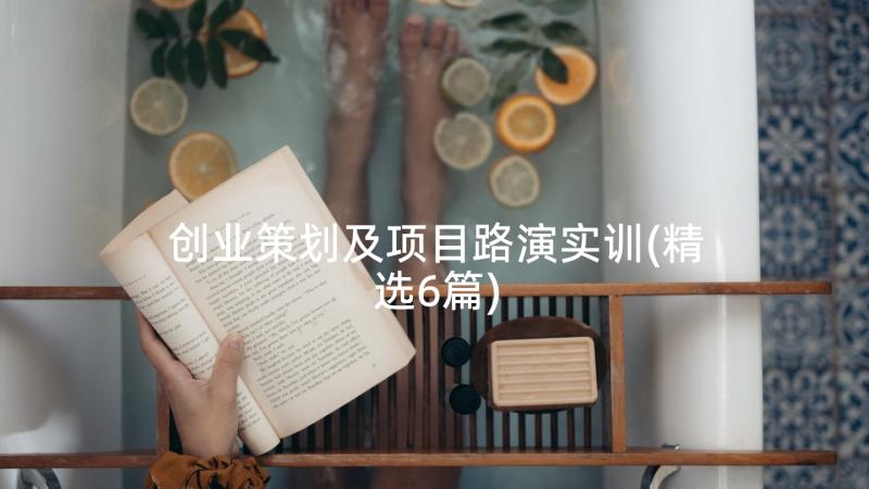 创业策划及项目路演实训(精选6篇)