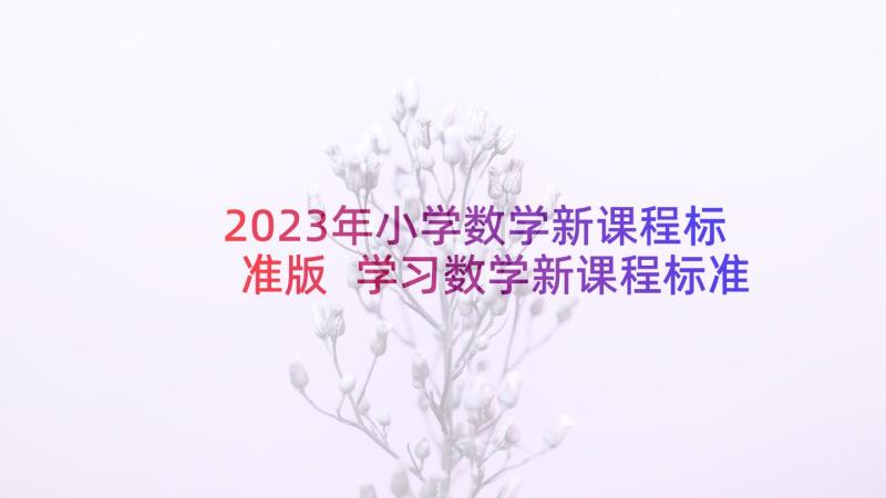 2023年小学数学新课程标准版 学习数学新课程标准的心得体会(模板9篇)