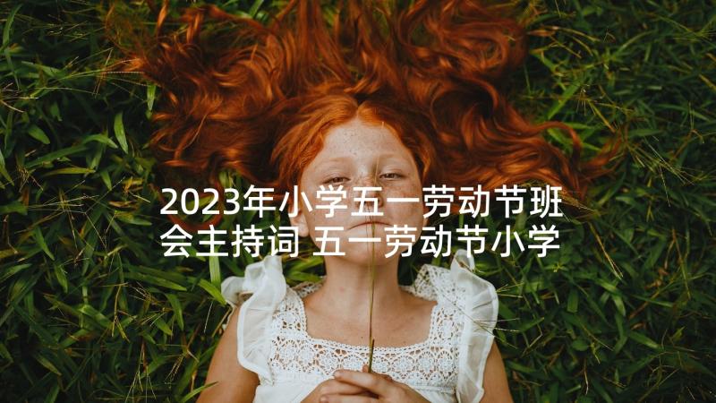 2023年小学五一劳动节班会主持词 五一劳动节小学生班会方案(实用5篇)