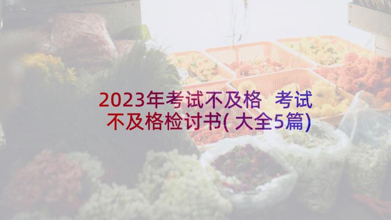 2023年考试不及格 考试不及格检讨书(大全5篇)