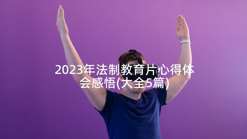 2023年法制教育片心得体会感悟(大全5篇)