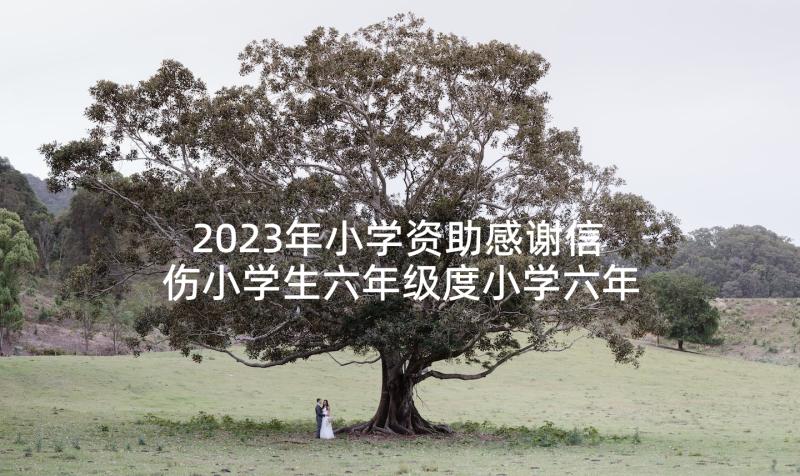 2023年小学资助感谢信 伤小学生六年级度小学六年级(实用7篇)