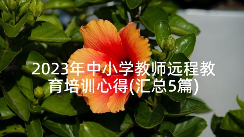 2023年中小学教师远程教育培训心得(汇总5篇)