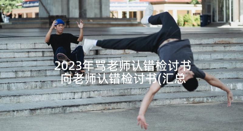 2023年骂老师认错检讨书 向老师认错检讨书(汇总9篇)