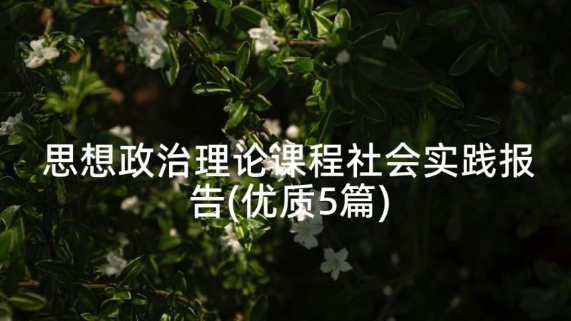 思想政治理论课程社会实践报告(优质5篇)