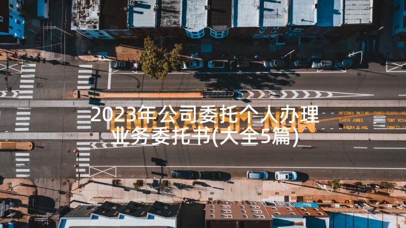 2023年公司委托个人办理业务委托书(大全5篇)