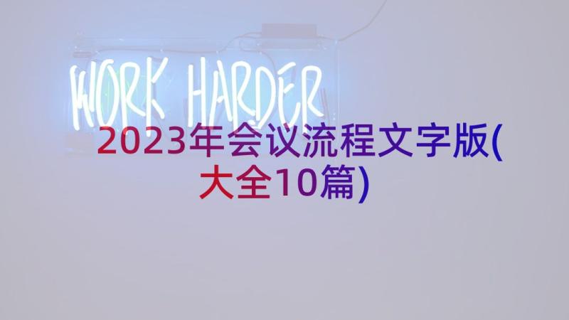 2023年会议流程文字版(大全10篇)