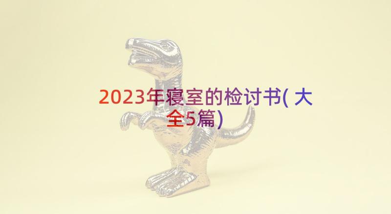 2023年寝室的检讨书(大全5篇)