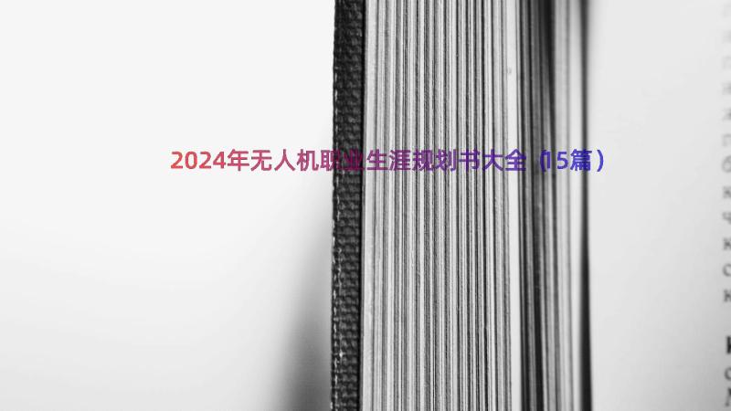 2024年无人机职业生涯规划书大全（15篇）