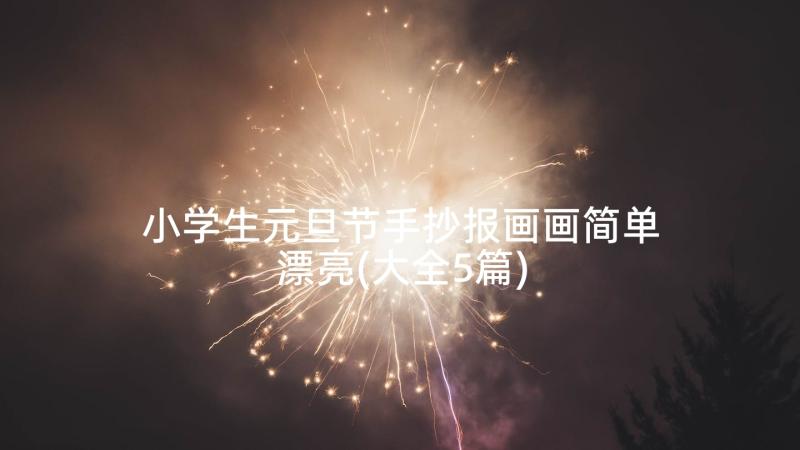 小学生元旦节手抄报画画简单漂亮(大全5篇)