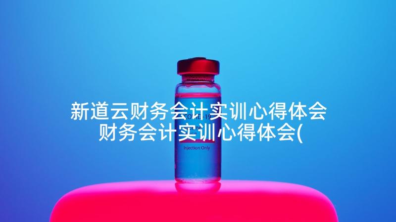 新道云财务会计实训心得体会 财务会计实训心得体会(通用5篇)