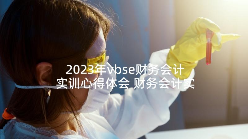 2023年vbse财务会计实训心得体会 财务会计实训心得体会(优秀6篇)