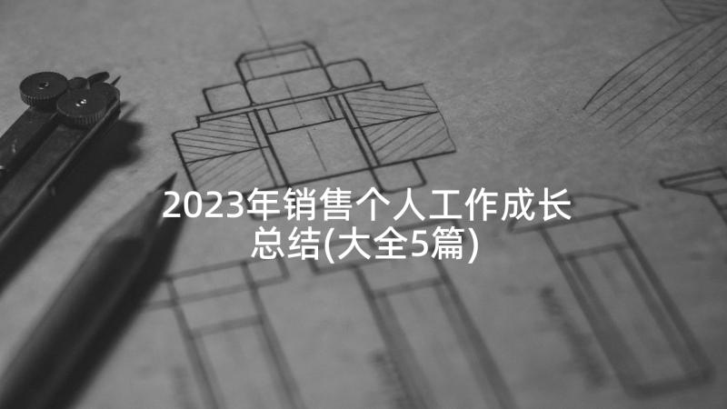 2023年销售个人工作成长总结(大全5篇)