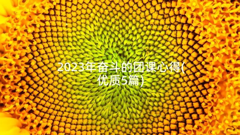 2023年奋斗的团课心得(优质5篇)