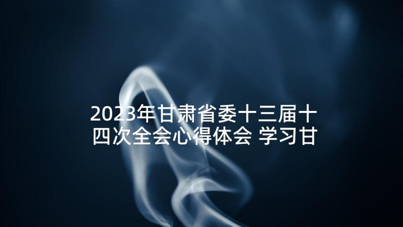 2023年甘肃省委十三届十四次全会心得体会 学习甘肃省第十四次党代会精神心得体会(实用10篇)