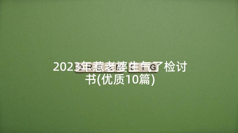 2023年惹老婆生气了检讨书(优质10篇)