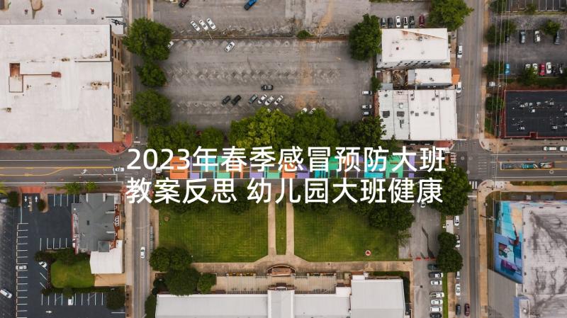 2023年春季感冒预防大班教案反思 幼儿园大班健康教案预防感冒含反思优选(模板5篇)