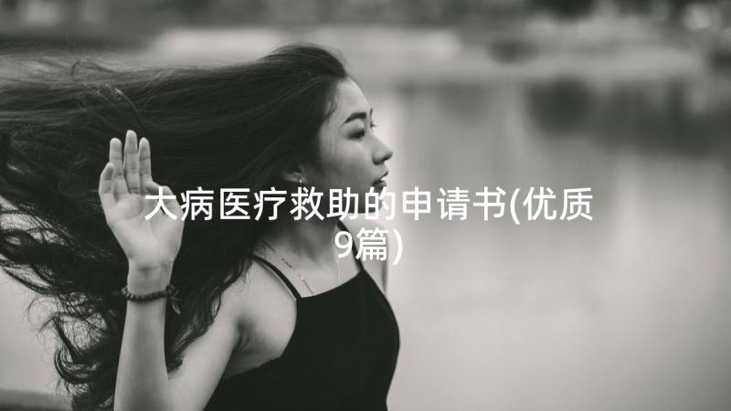 大病医疗救助的申请书(优质9篇)