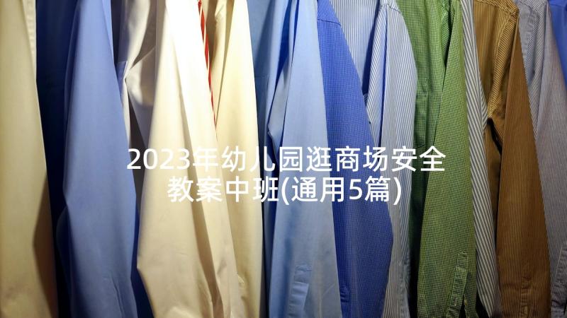 2023年幼儿园逛商场安全教案中班(通用5篇)