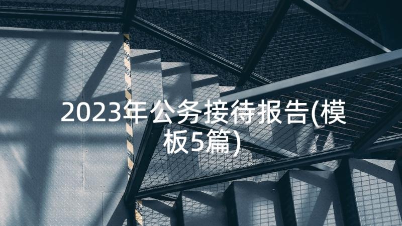 2023年公务接待报告(模板5篇)