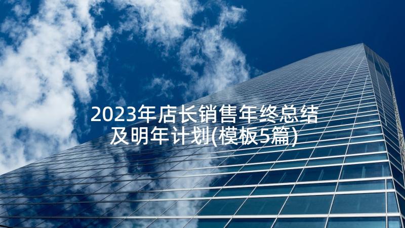 2023年店长销售年终总结及明年计划(模板5篇)