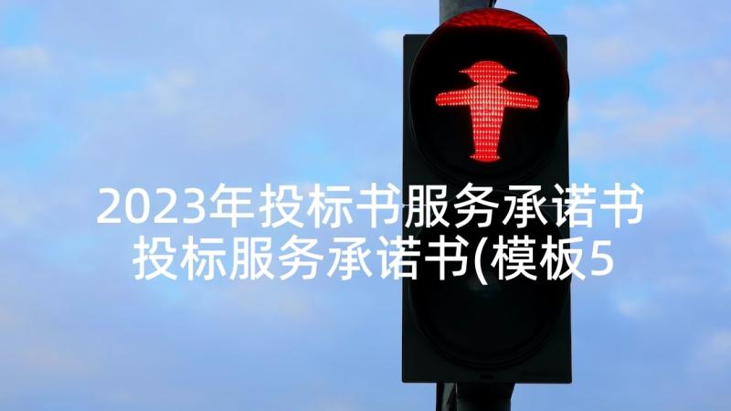 2023年投标书服务承诺书 投标服务承诺书(模板5篇)