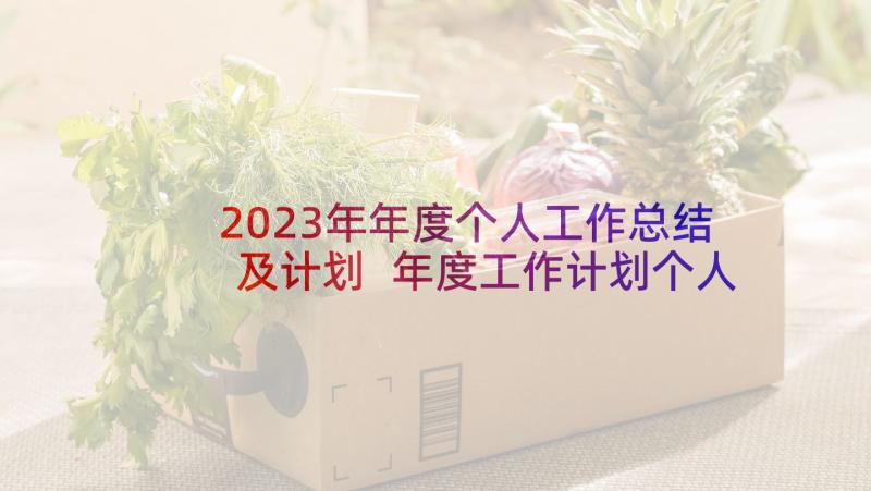 2023年年度个人工作总结及计划 年度工作计划个人总结(优秀8篇)