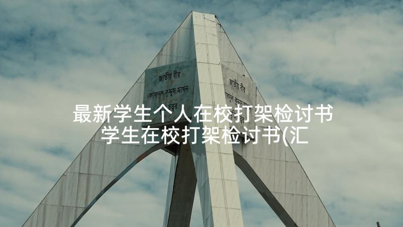 最新学生个人在校打架检讨书 学生在校打架检讨书(汇总6篇)