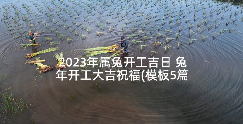 2023年属兔开工吉日 兔年开工大吉祝福(模板5篇)