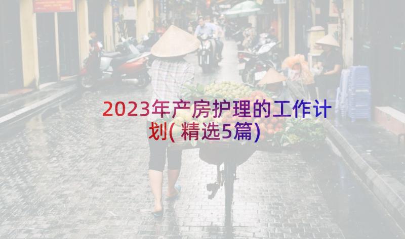 2023年产房护理的工作计划(精选5篇)