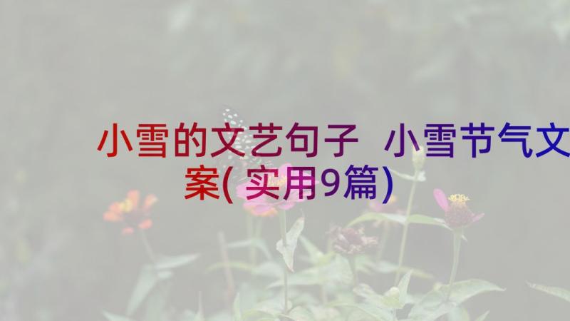 小雪的文艺句子 小雪节气文案(实用9篇)