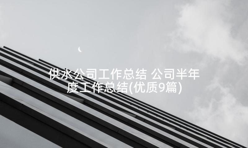 供水公司工作总结 公司半年度工作总结(优质9篇)