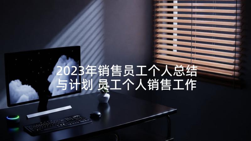 2023年销售员工个人总结与计划 员工个人销售工作计划(通用5篇)