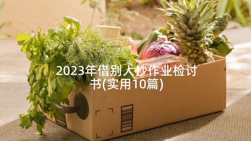 2023年借别人抄作业检讨书(实用10篇)