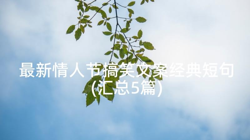 最新情人节搞笑文案经典短句(汇总5篇)