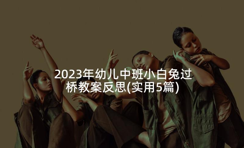 2023年幼儿中班小白兔过桥教案反思(实用5篇)