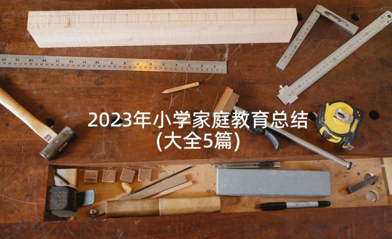 2023年小学家庭教育总结(大全5篇)