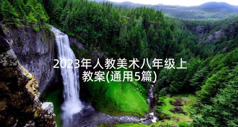 2023年人教美术八年级上教案(通用5篇)