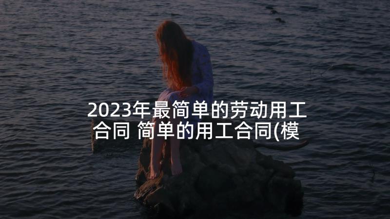 2023年最简单的劳动用工合同 简单的用工合同(模板5篇)