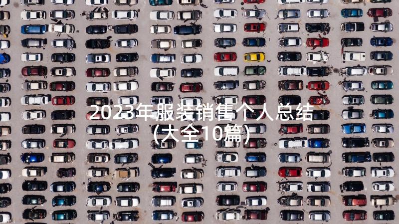 2023年服装销售个人总结(大全10篇)