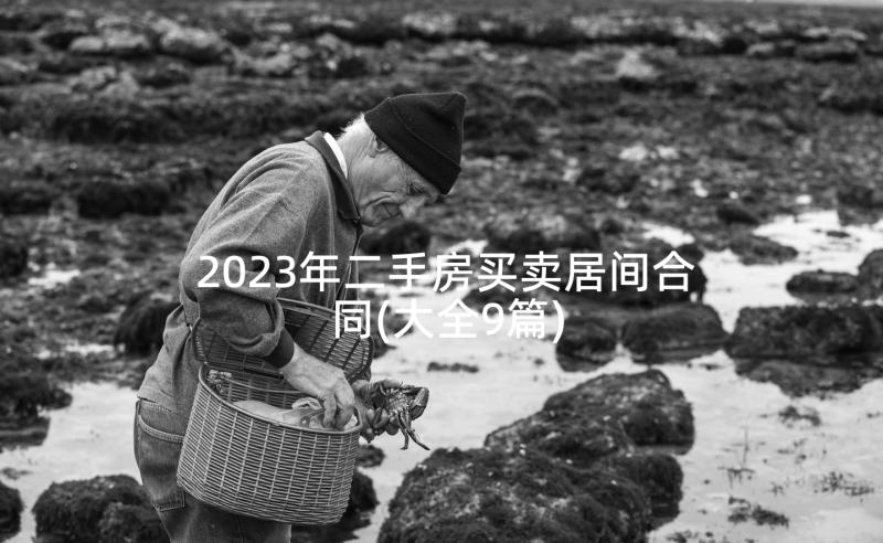 2023年二手房买卖居间合同(大全9篇)